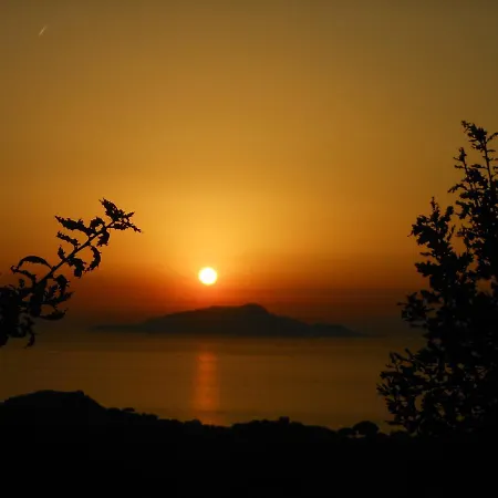 Beatrice Sorrento